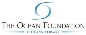 10 Year Logo Color